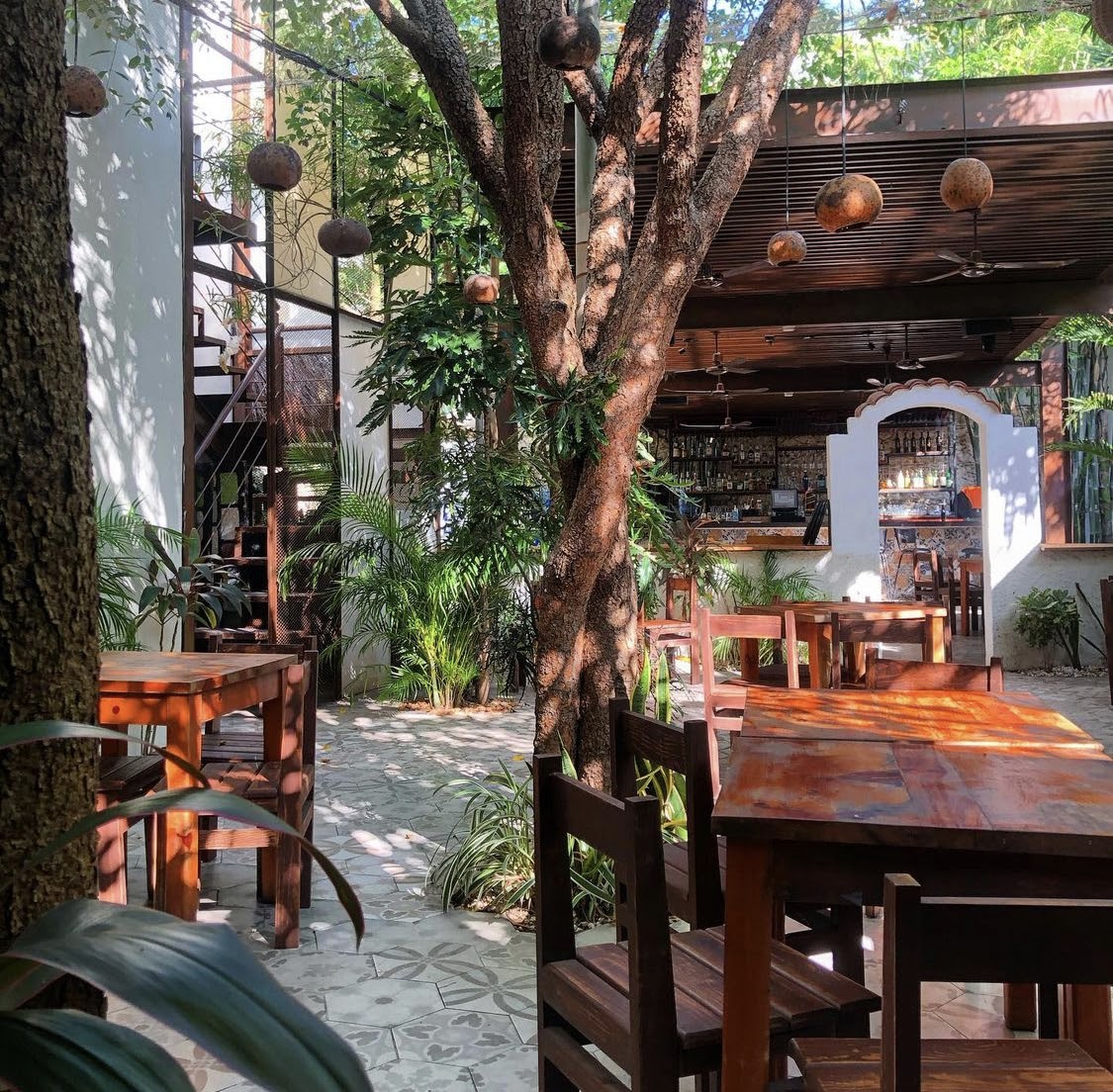 Cafeterías en Mérida, Yucatán