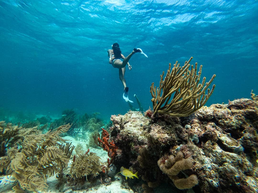 Buceando en Puerto Morelos, Quintana Roo