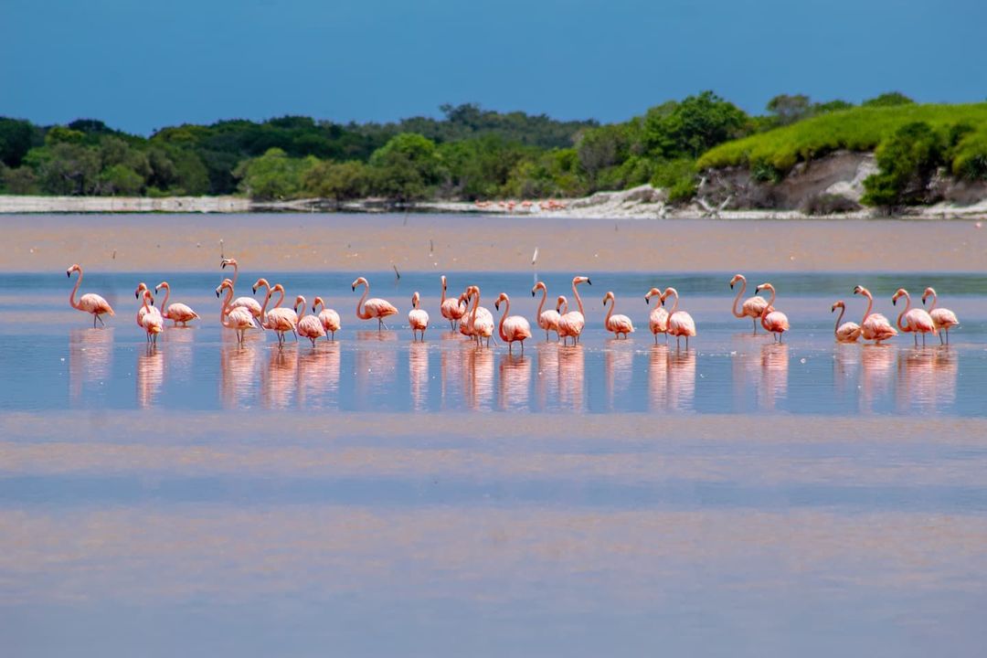 playas de Yucatán tan hermosas que se te olvidará bañarte