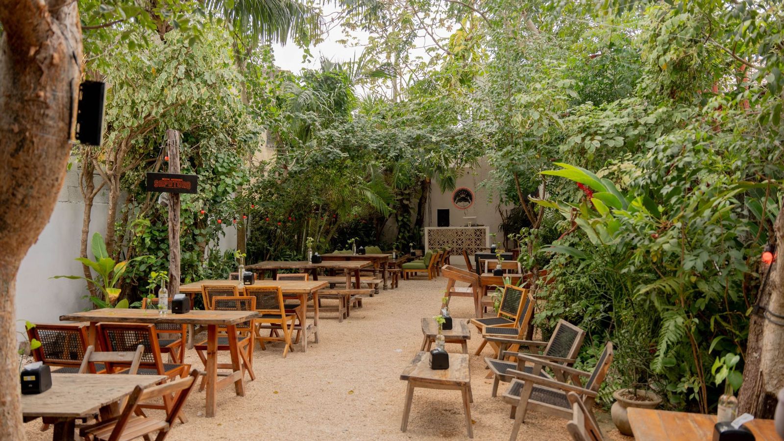 mezcaleria don trejo