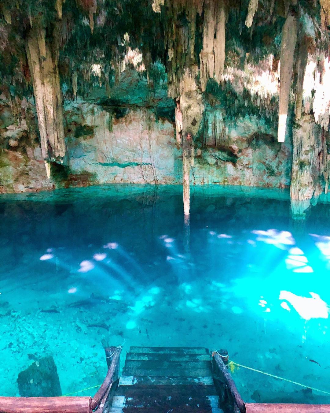  Cenotes para visitar en Homún, La guía yucateca de cenotes