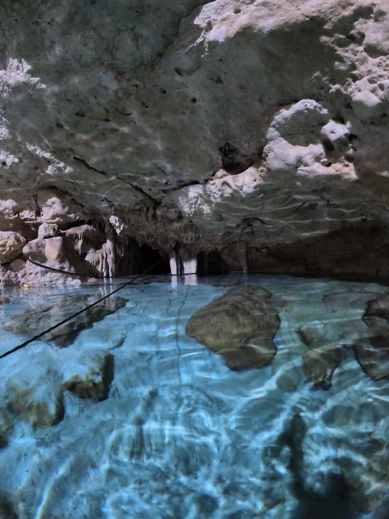  Cenotes para visitar en Homún, La guía yucateca de cenotes