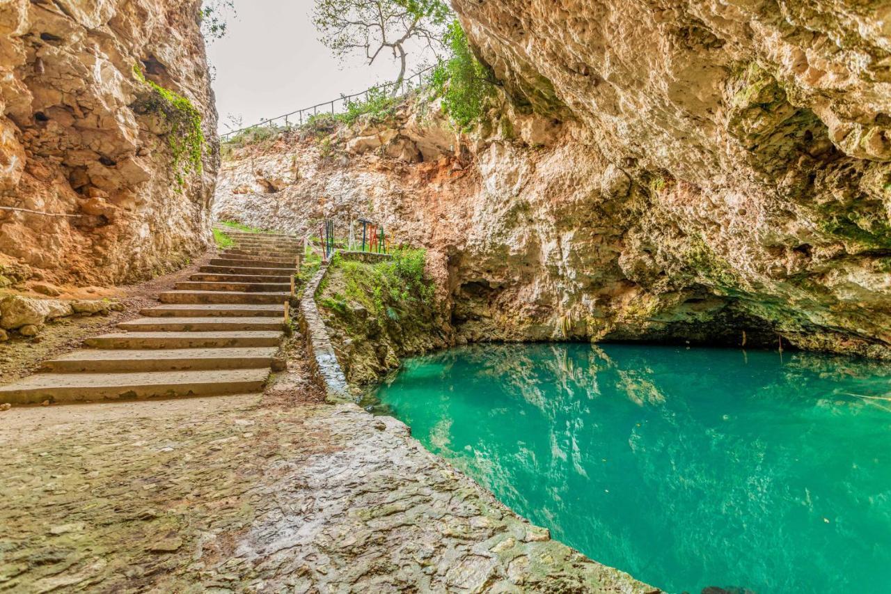  Cenotes para visitar en Homún, La guía yucateca de cenotes