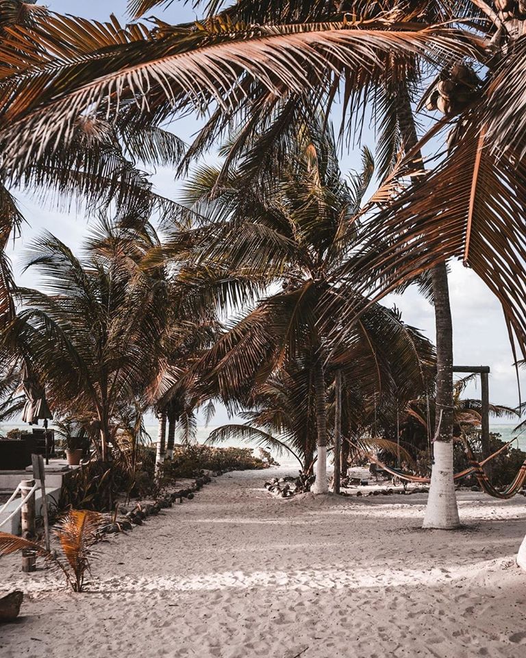 chicxulub puerto, playas bonitas en yucatan, que playas hay en yucatan
