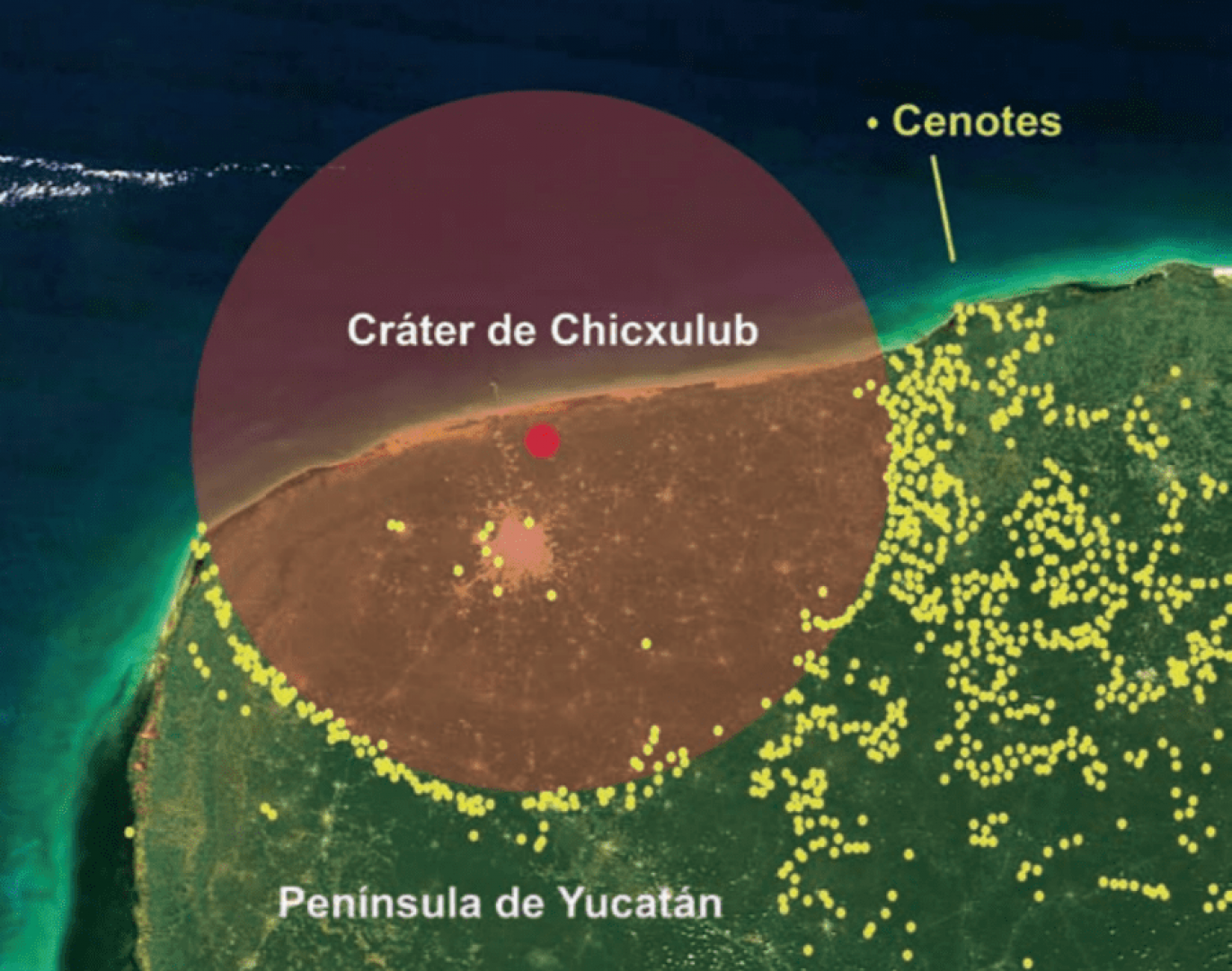meteoro que extingo a los dinosaurios, cráter de chicxulub