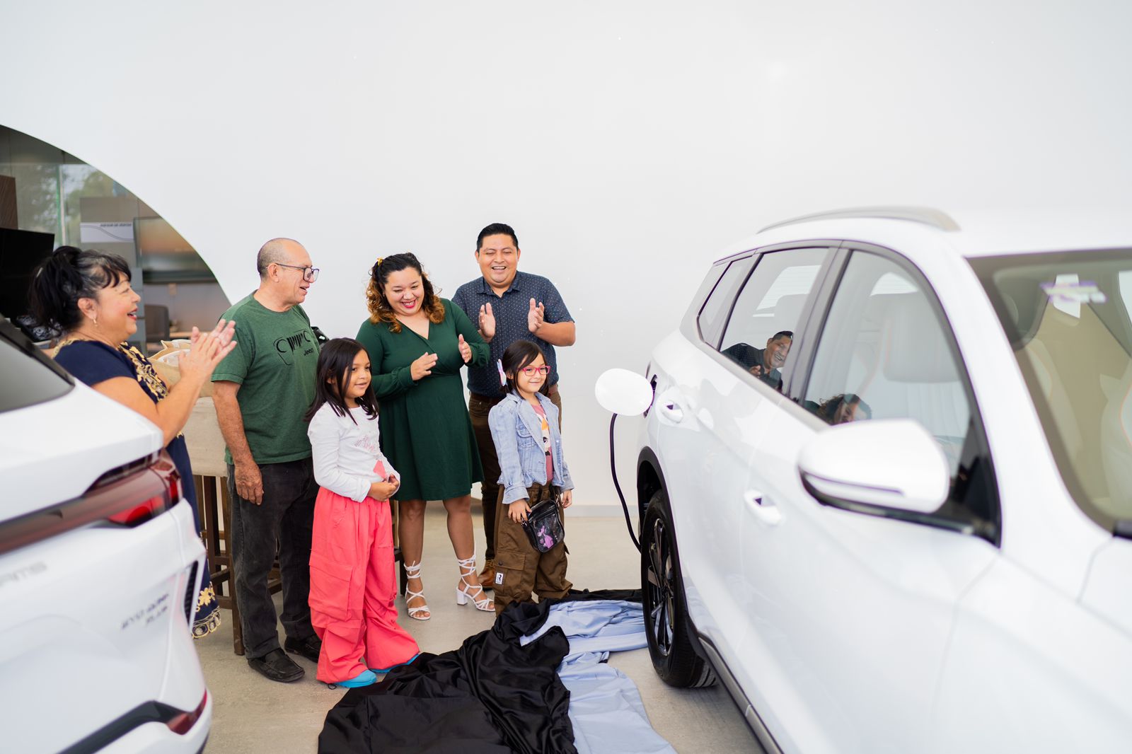 BYD ELECTRIC DAY