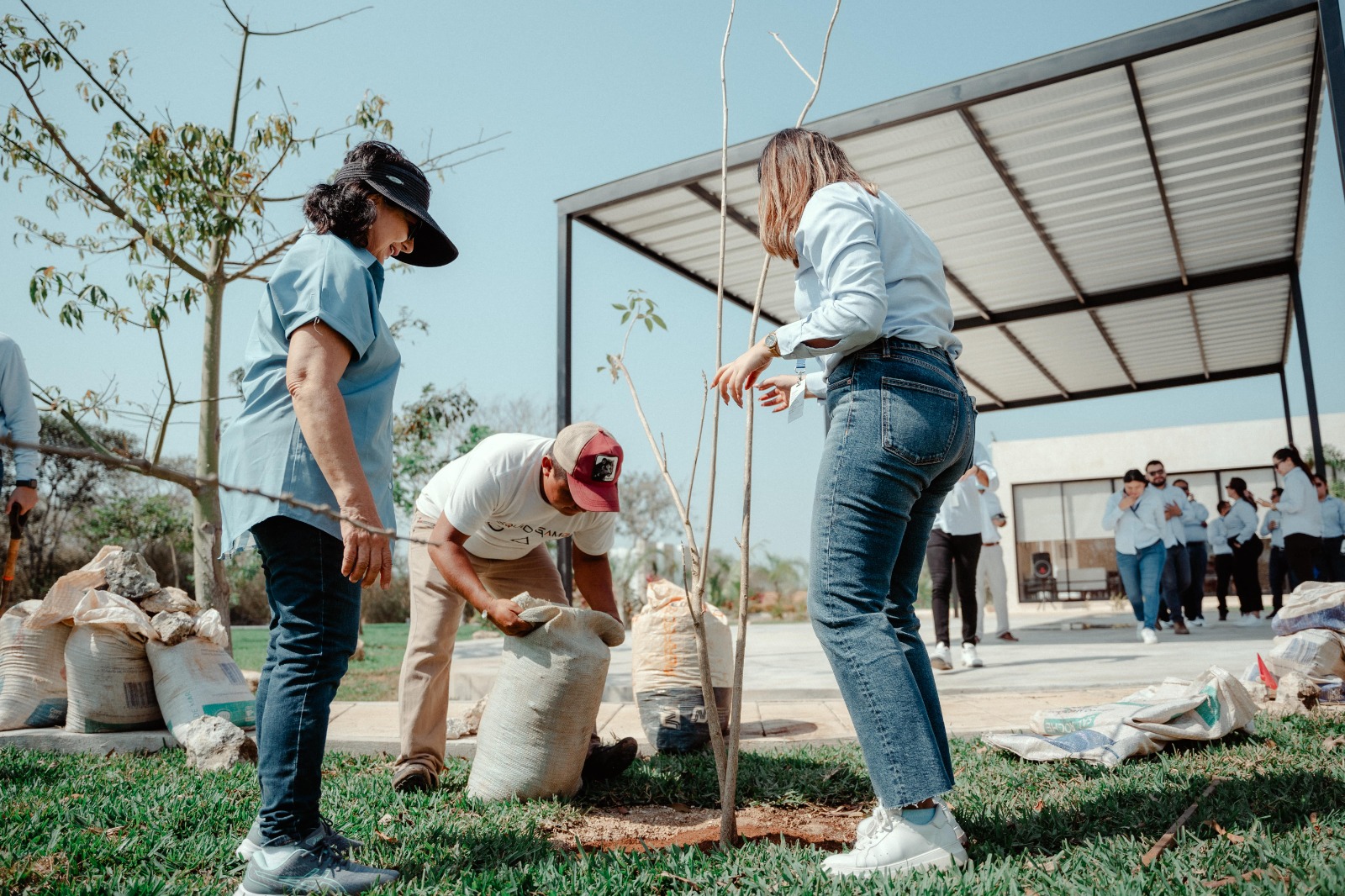 ecopsa zuluz residencial