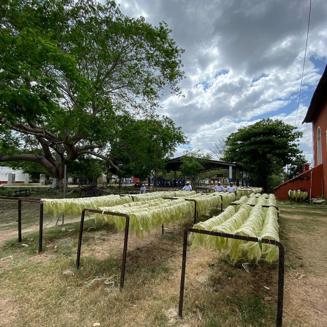 Descubre los Encantos de Mérida, Yucatán: Actividades Imprescindibles