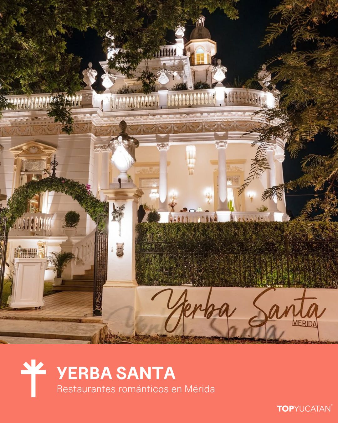 YERBA SANTA MÉRIDA