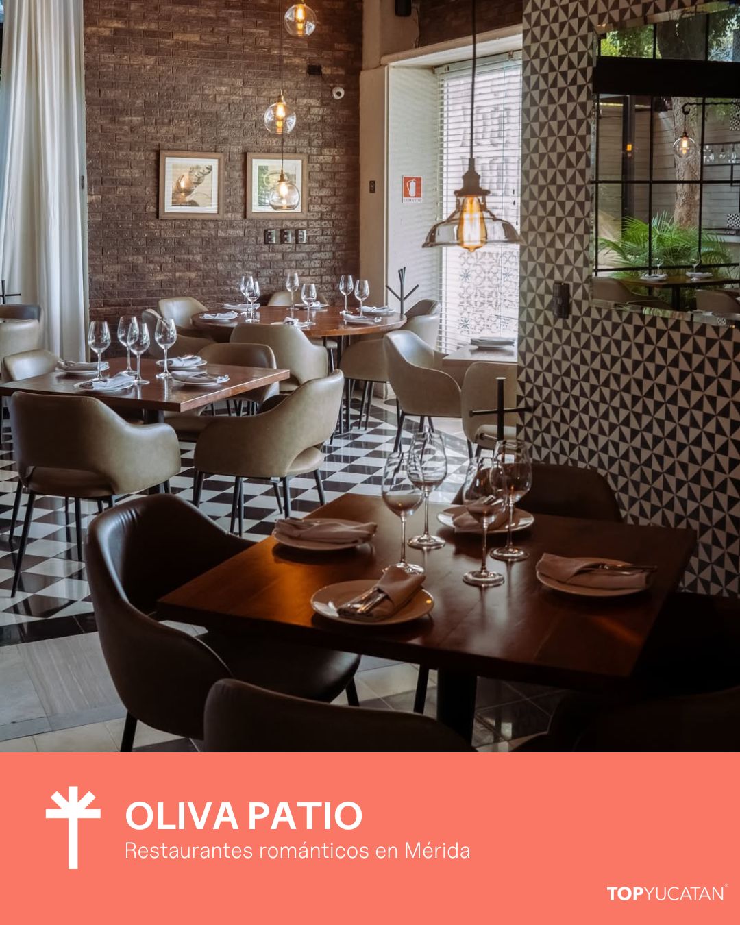 OLIVA PATIO MÉRIDA
