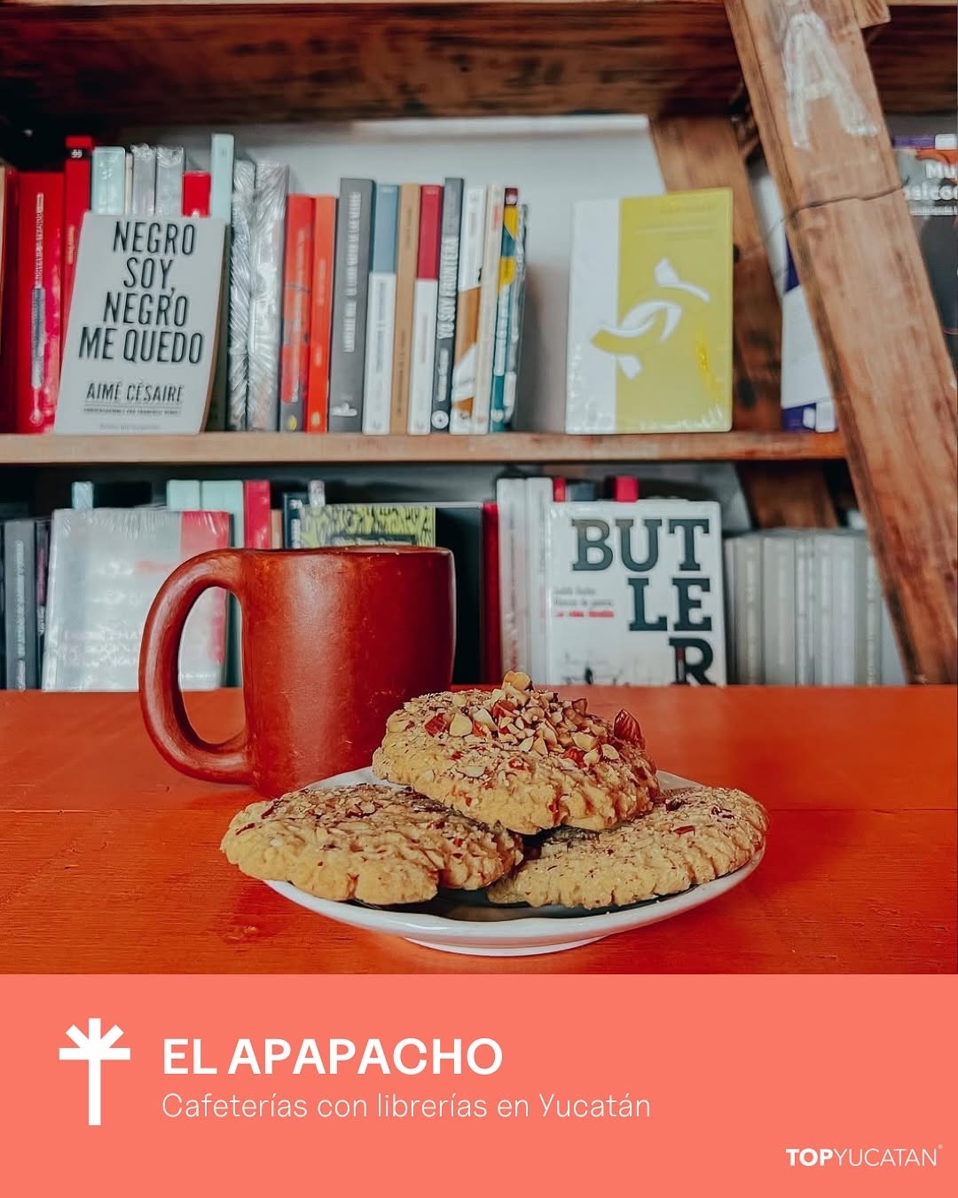 Cafeterías con librerías 