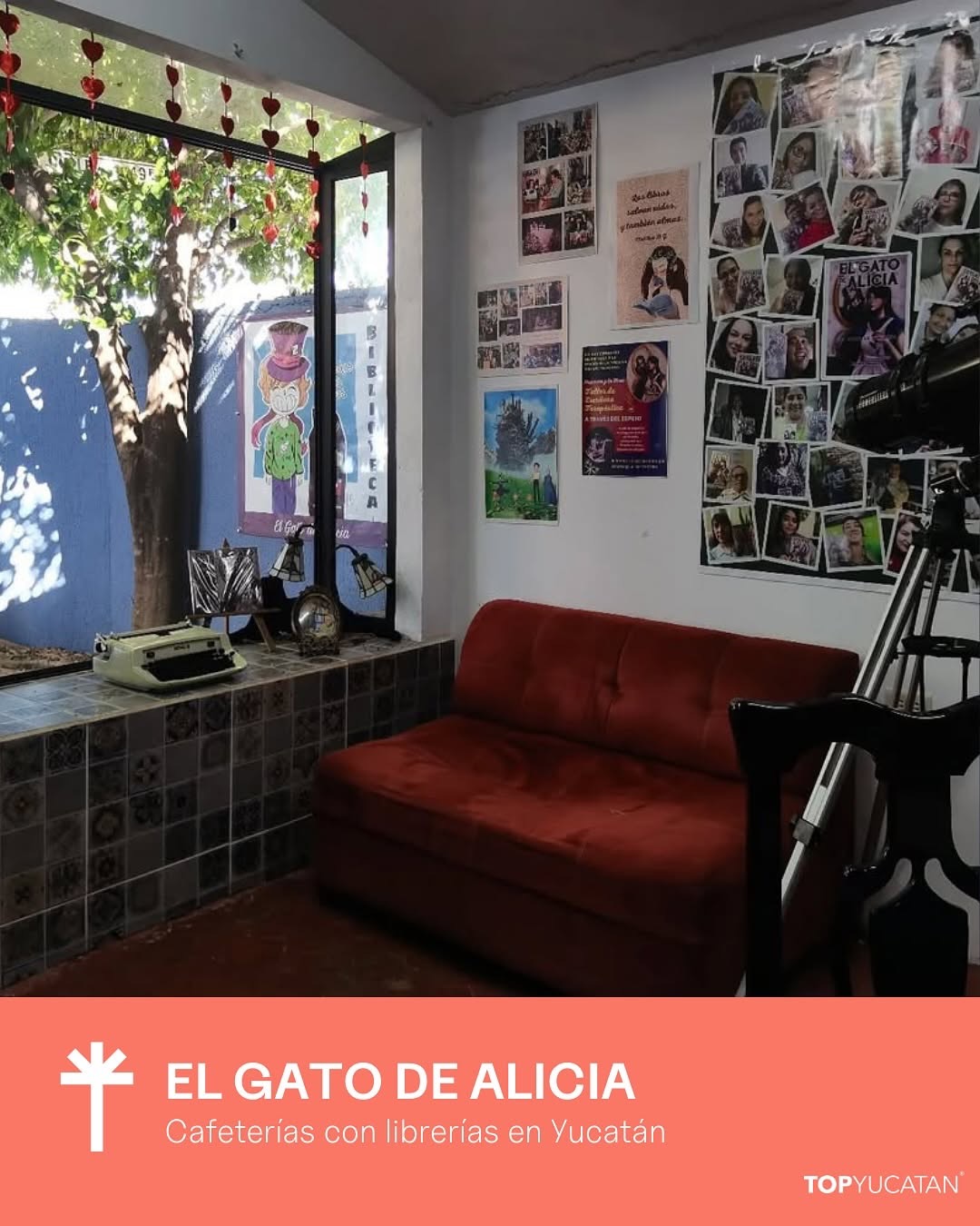 Cafeterías con librerías 