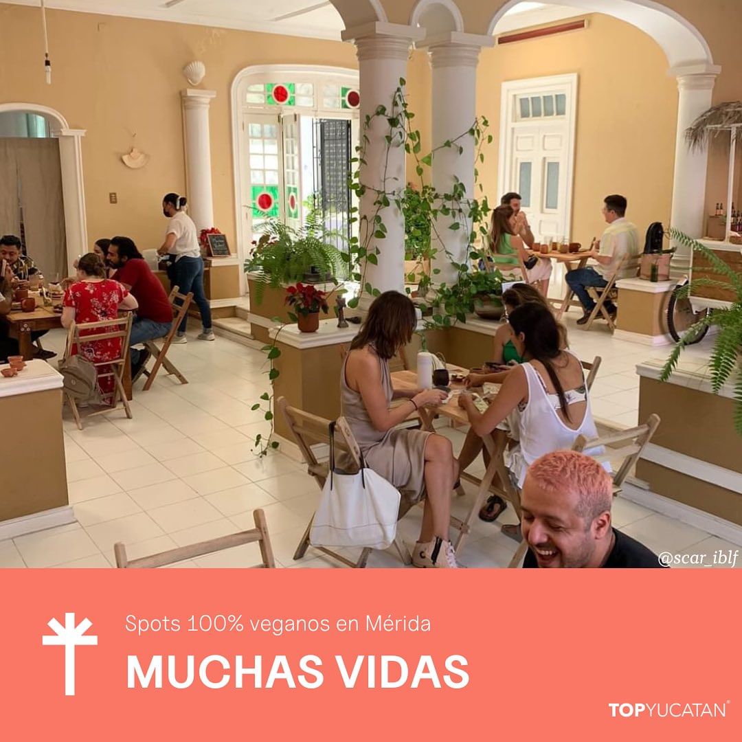 TOP 7: Spots 100% ‘veganos’ en Mérida