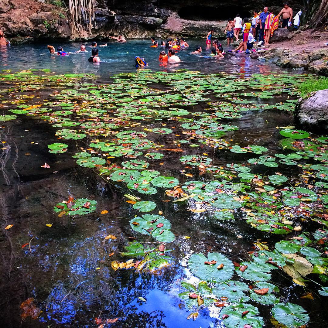 Cenotes X’batún y Dzombakal en San Antonio Mulix