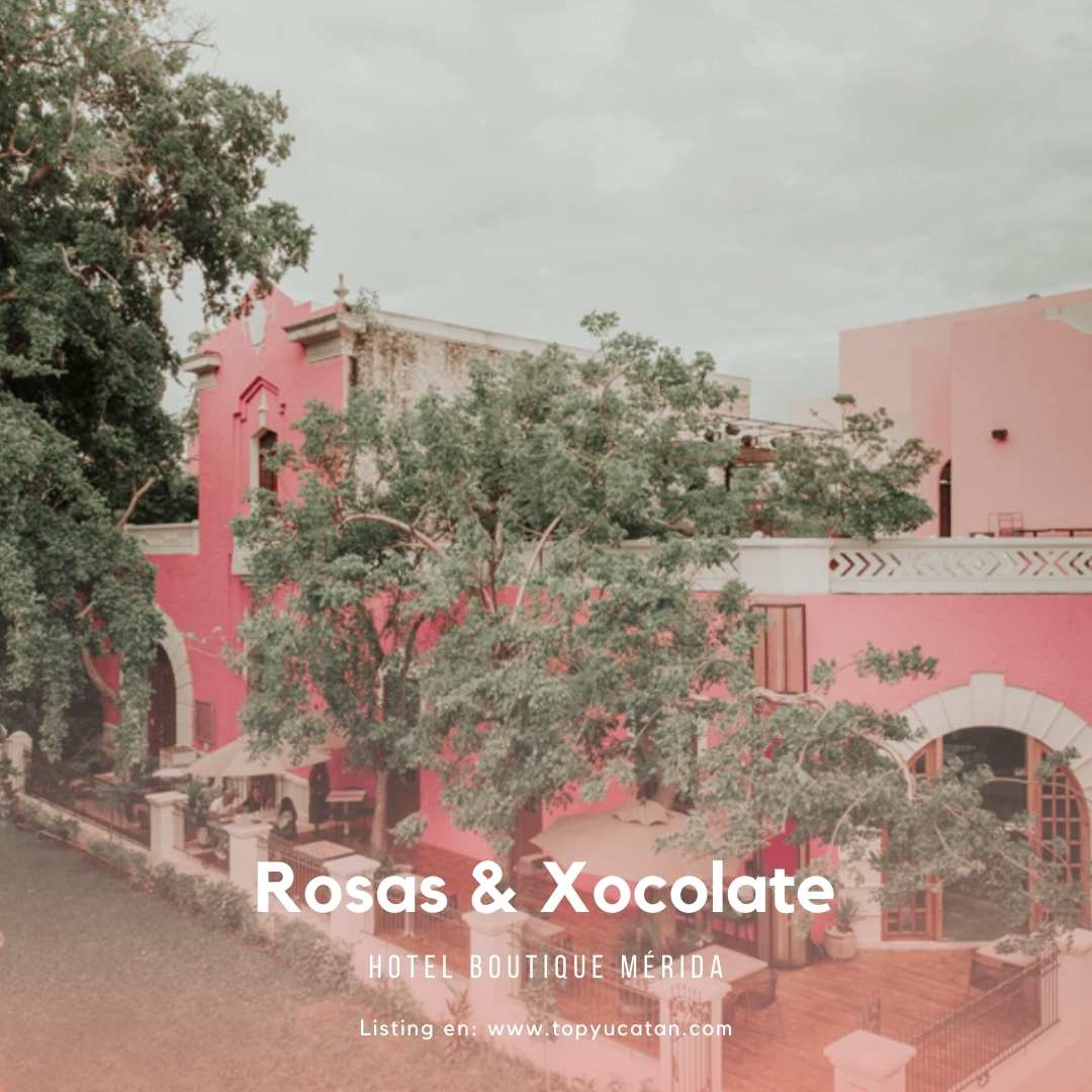 rosas y xocolate hotel boutique en merida yucatan