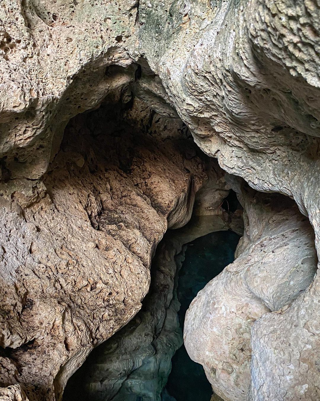  Cenotes para visitar en Homún, La guía yucateca de cenotes