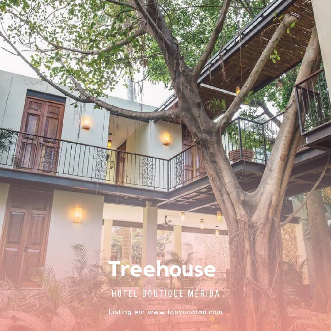 treehouse hotel boutique en merida yucatan