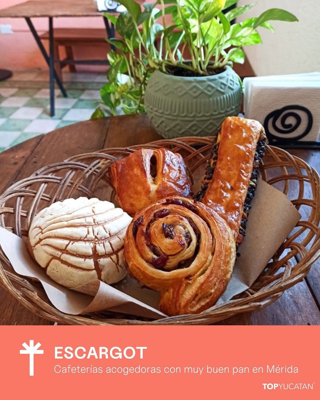 Escargot