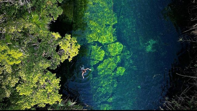 Cenote Escondido, Un manantial transparente oculto en la selva de Tulum