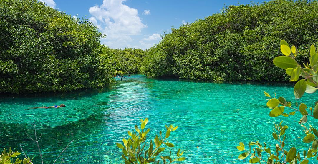 Cenote Manatí, el manantial que tiene un descomunal color azul eléctrico