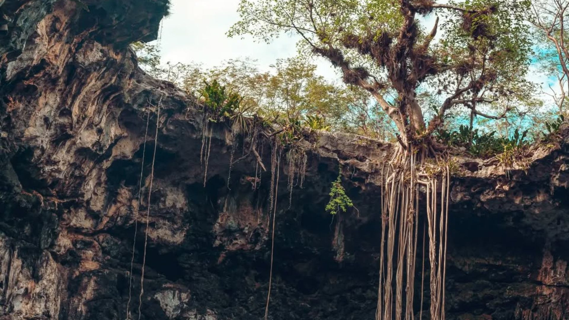 Cenote Xooch: Una joya secreta en Yucatán