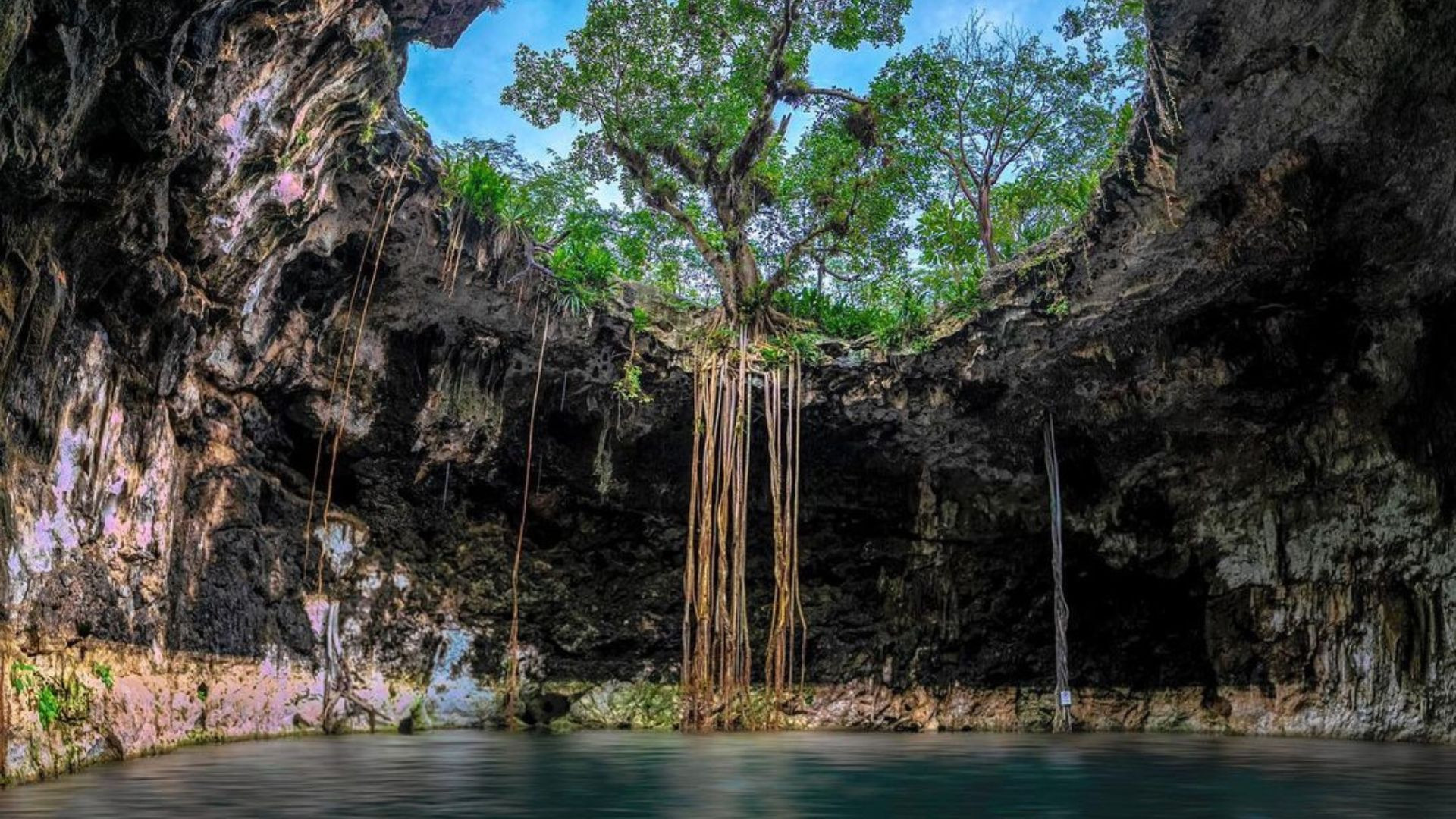 Cenotes para visitar en Homún: La guía yucateca