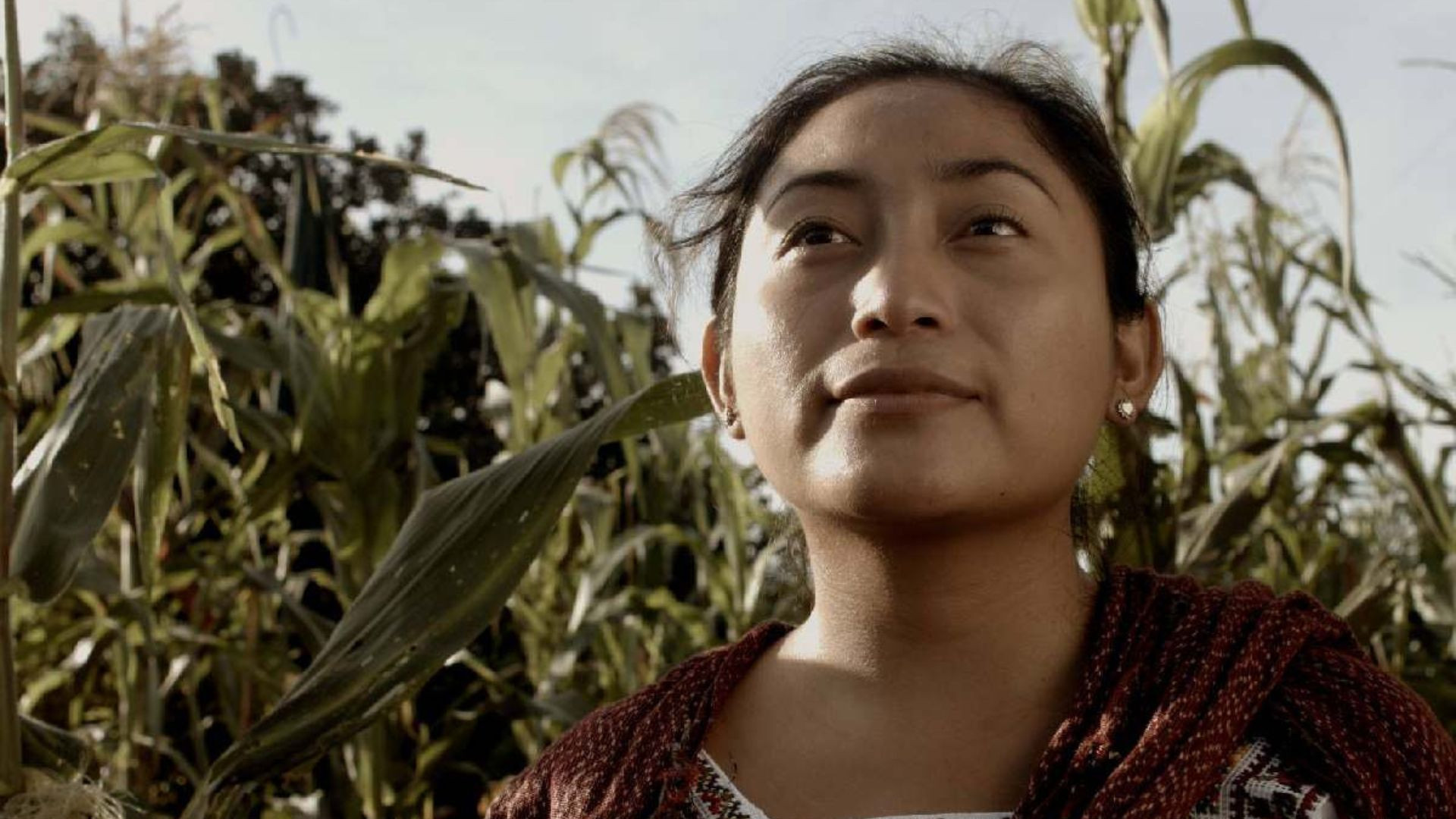 Cines del Siglo XXI presentan cortometraje dirigido por yucateco