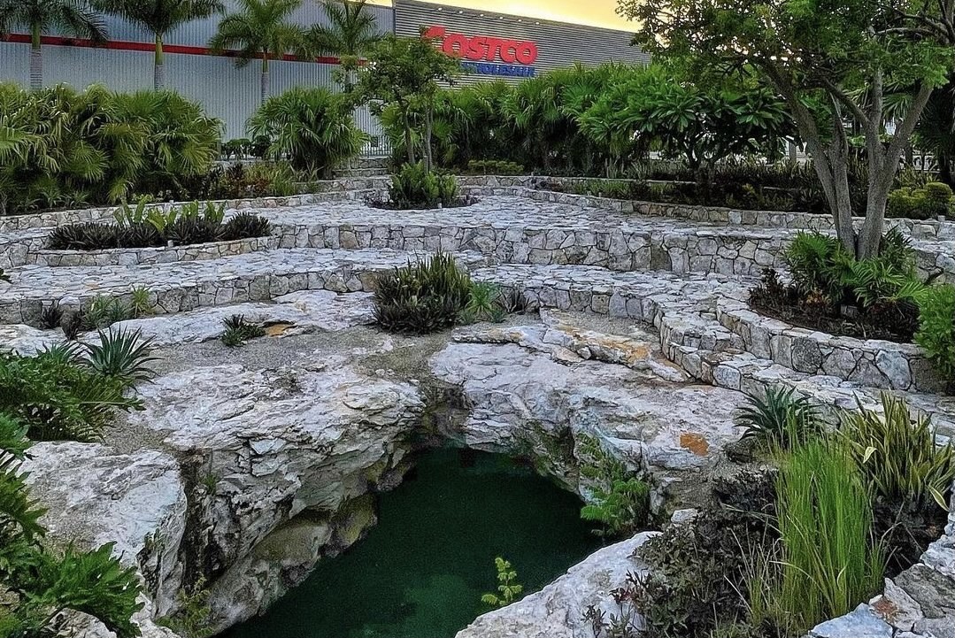 El Cenote de Costco: Una maravilla de Mérida