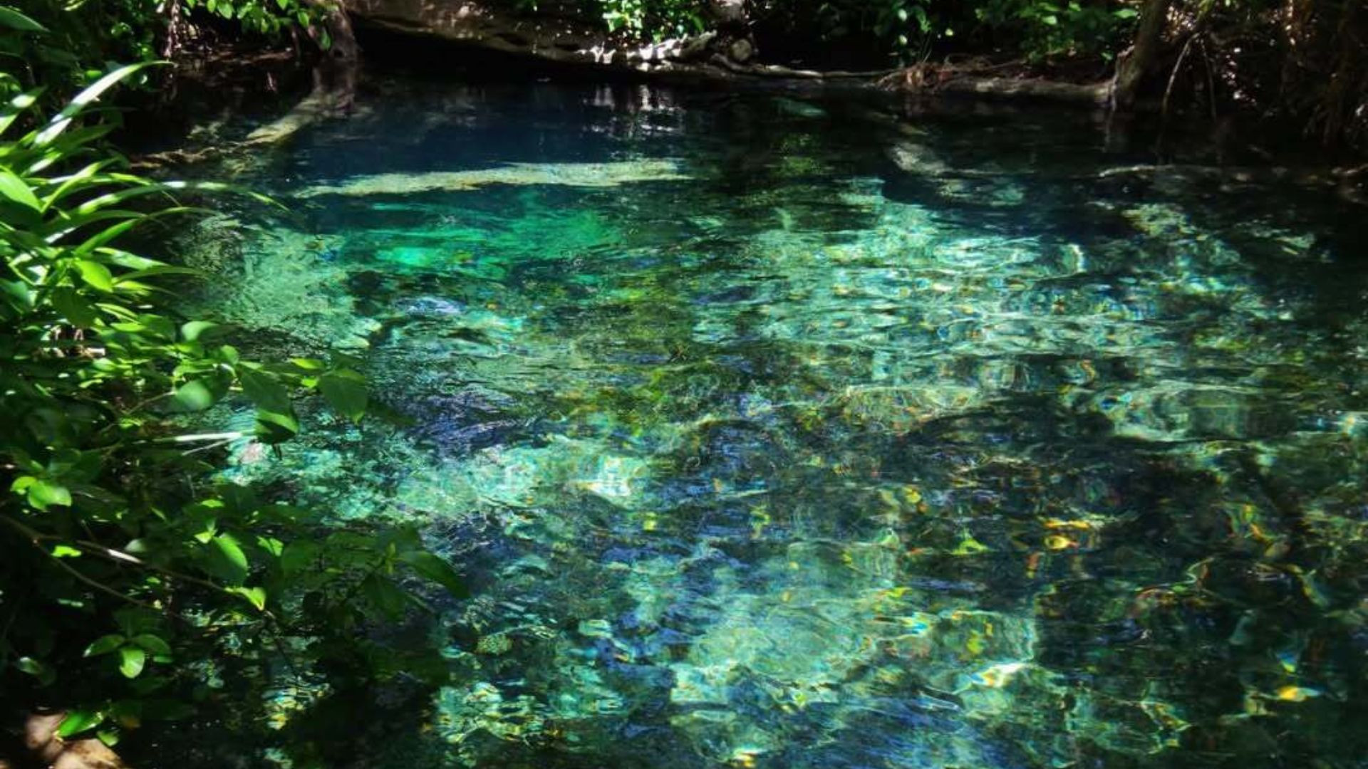 Guía de actividades al aire libre en Yucatán