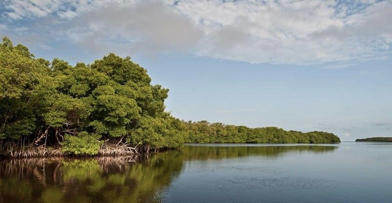Isla de Piedras e Isla de Jaina, Los secretos mejores guardados de Campeche