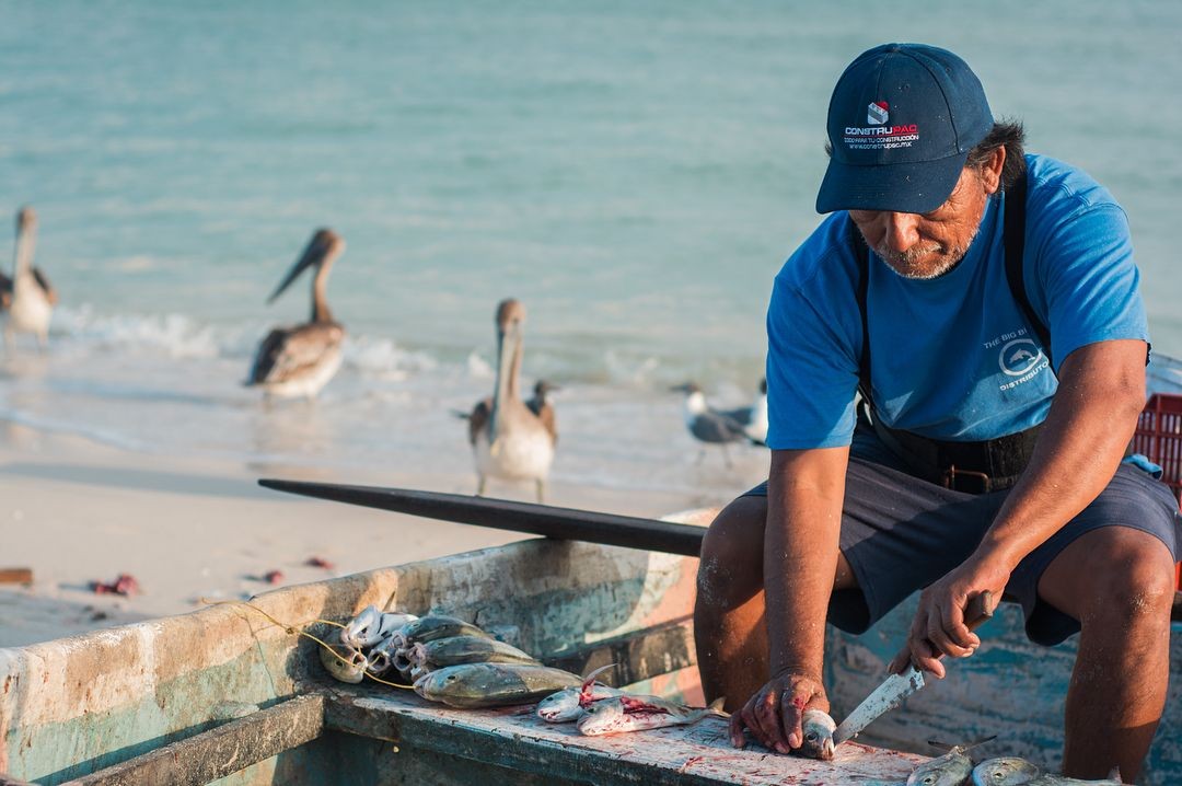 La Importancia de la Pesca en Yucatán