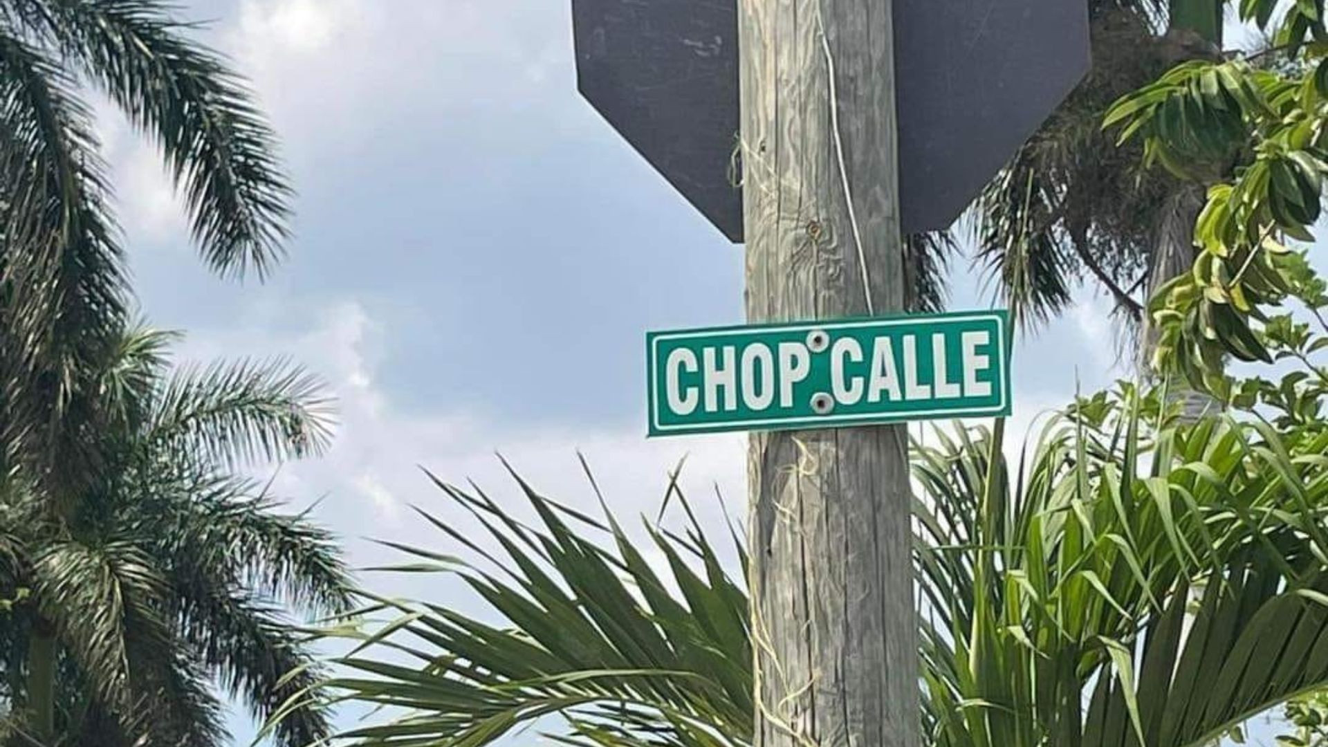 Palabras que solo se dicen en Yucatán: ¿Qué es una Chop Calle?