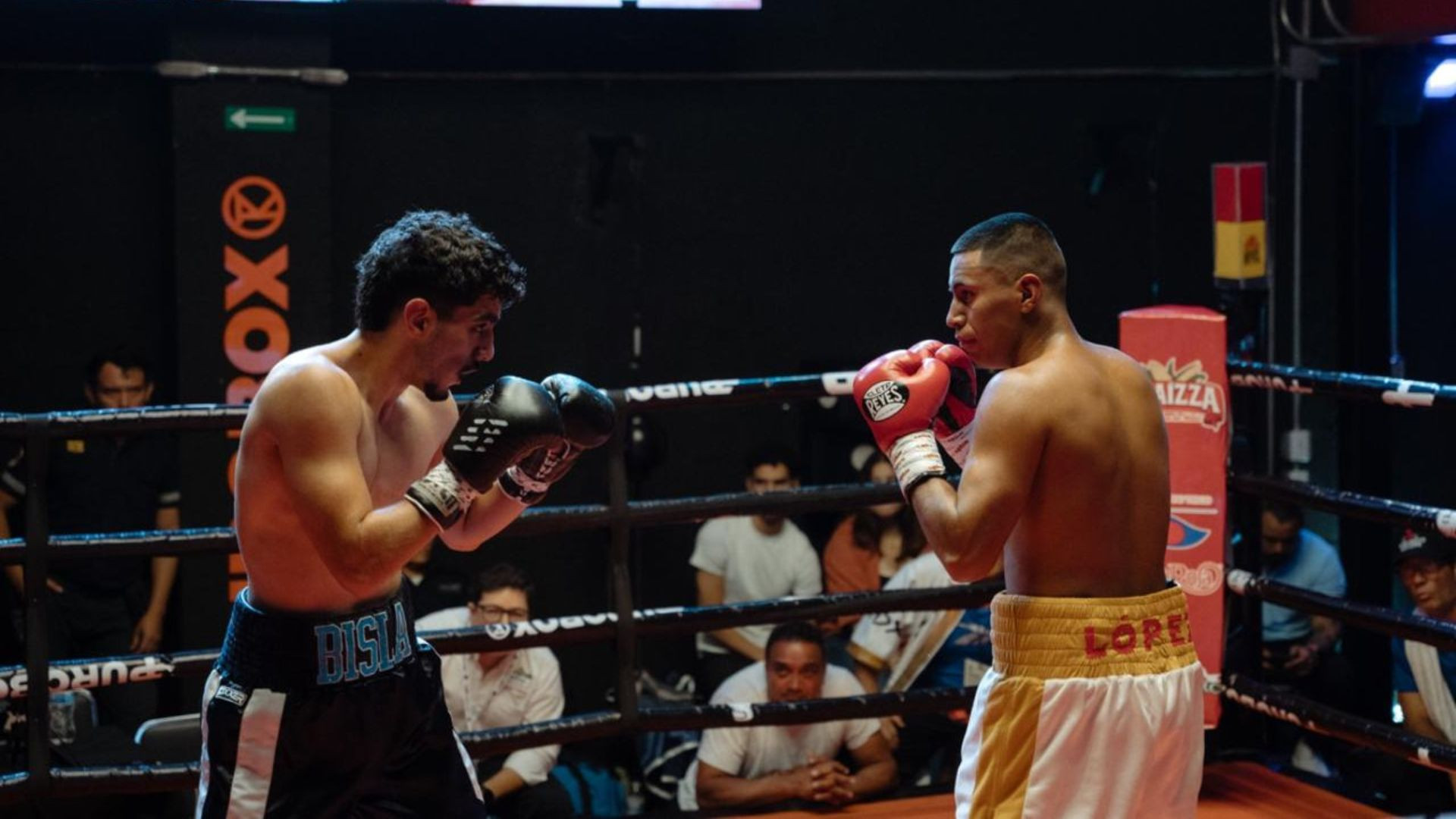PUROBOX: El nuevo spot que redefine el boxeo en Yucatán PUROBOX: El nuevo spot que redefine el boxeo en Yucatán