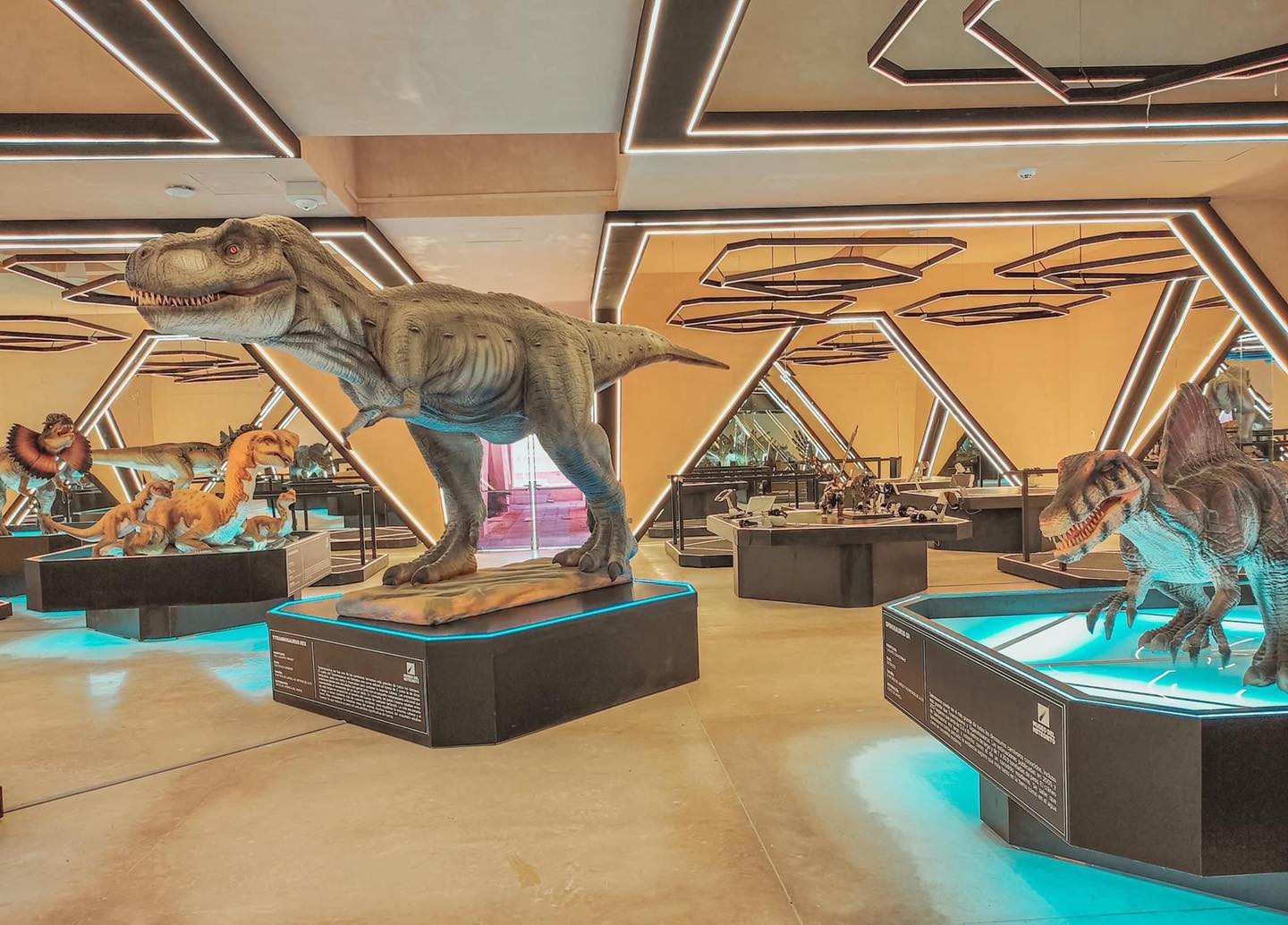 Todo lo que necesitas saber sobre el nuevo Museo del Meteorito en Progreso