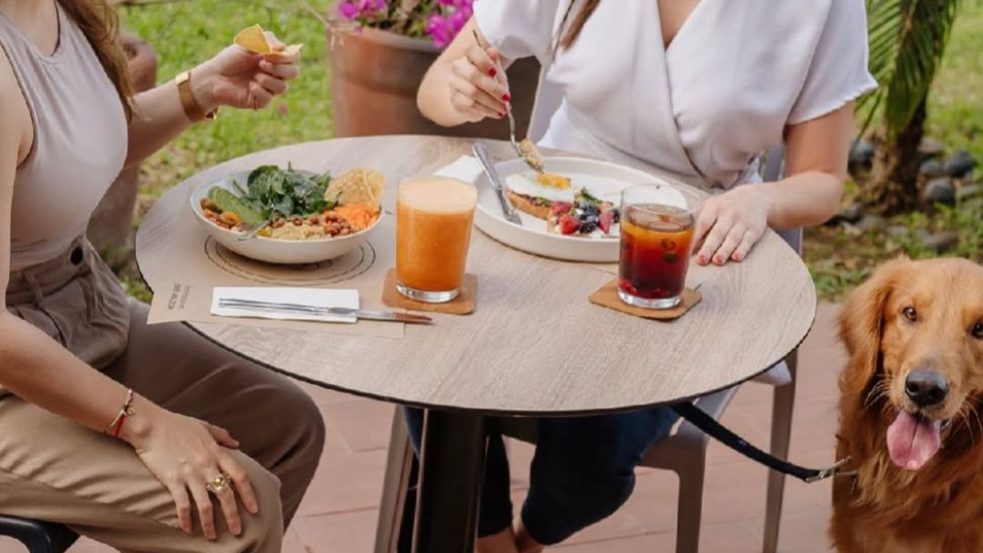 TOP 10: Restaurantes Pet Friendly