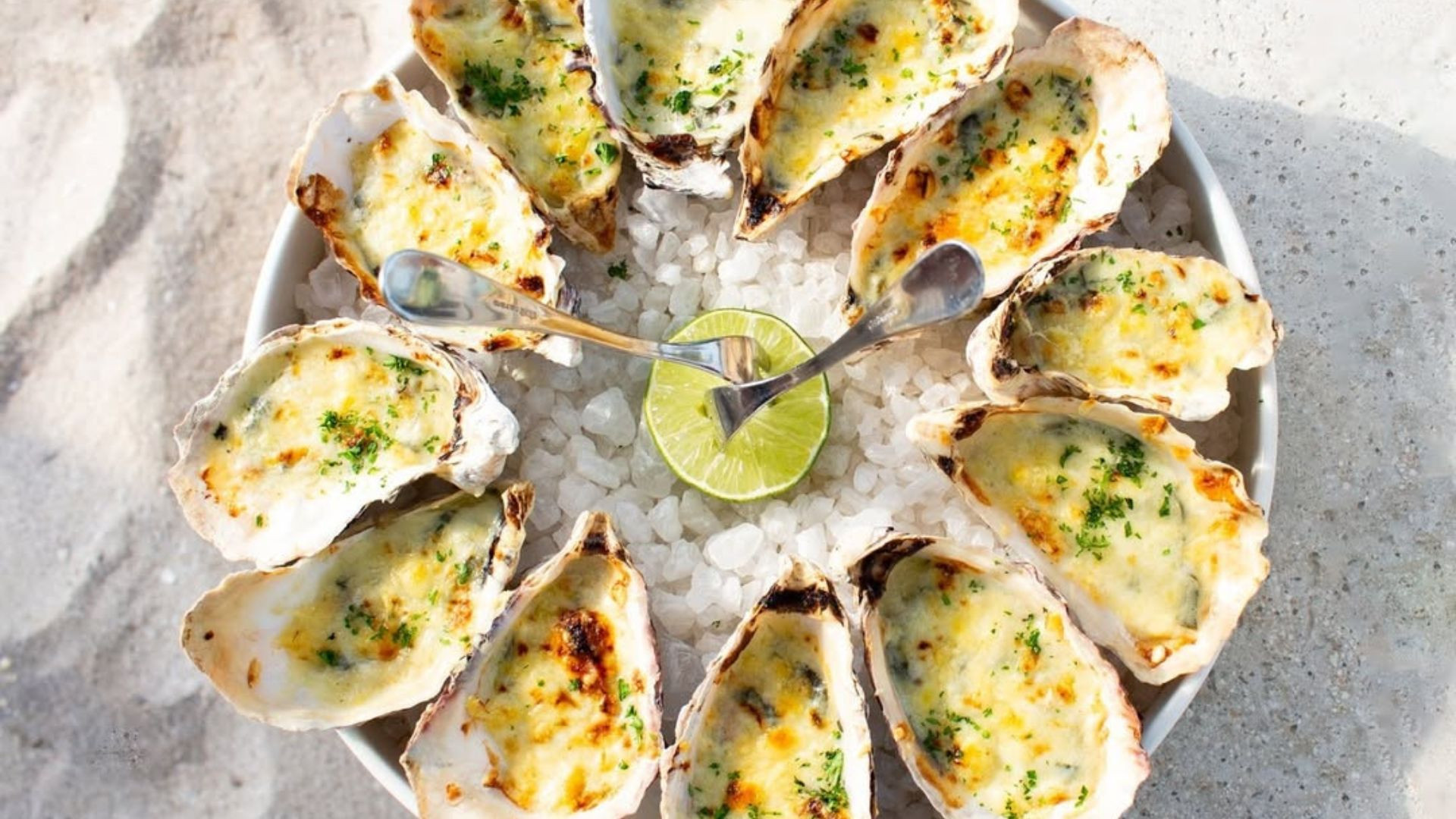 TOP 7: Opciones para comer ostiones en Yucatán