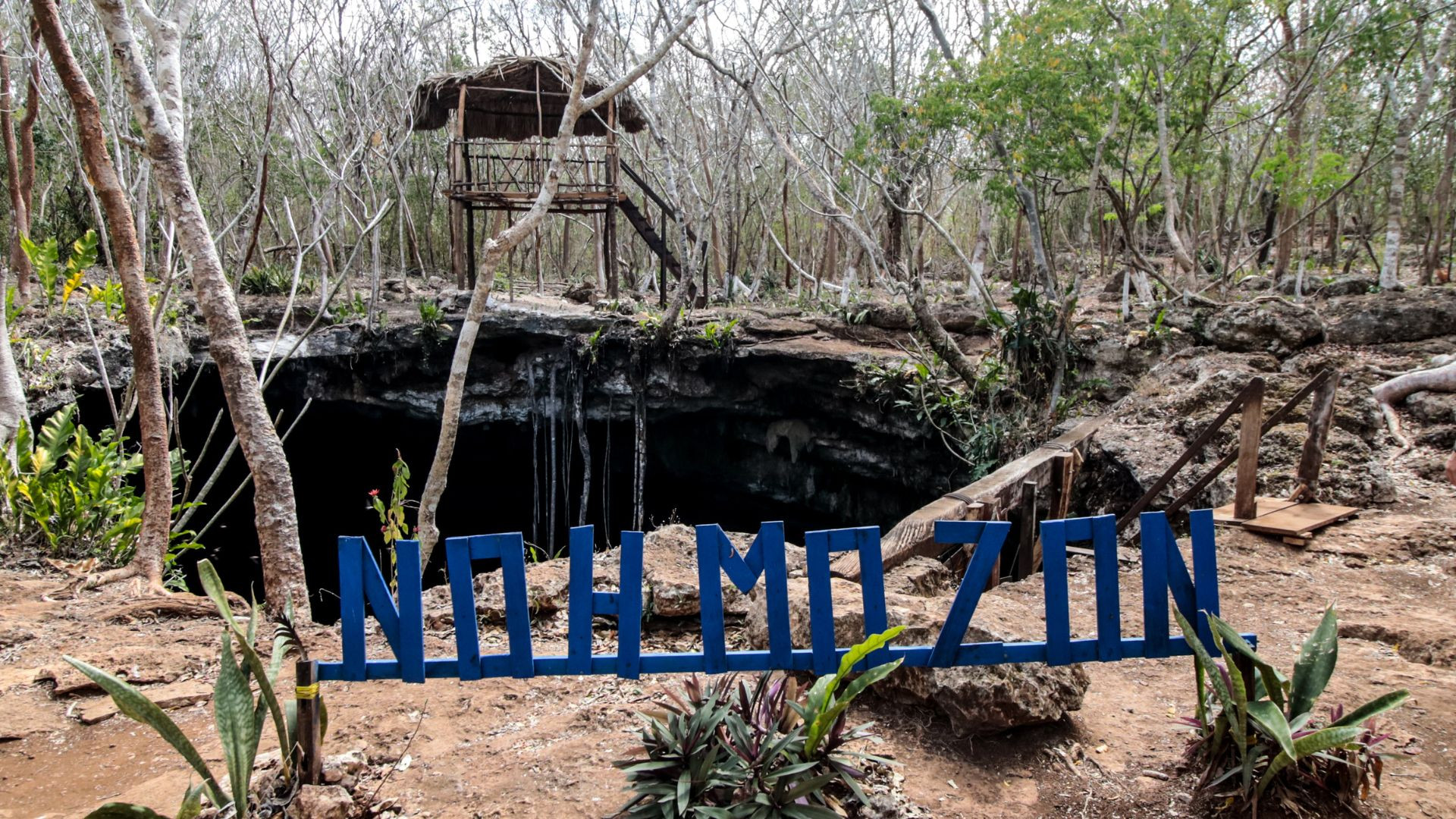 Waternauts: la experiencia de buceo que transforma la forma de vivir Yucatán